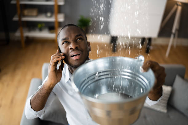 Best Basement water damage restoration  in Beale Af, CA