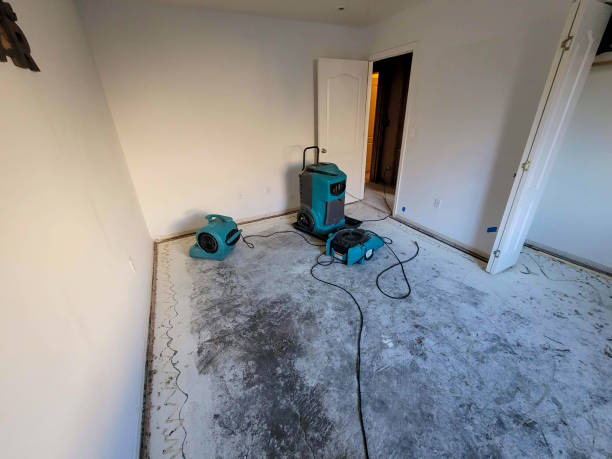 Best Fire Damage Restoration  in Beale Af, CA